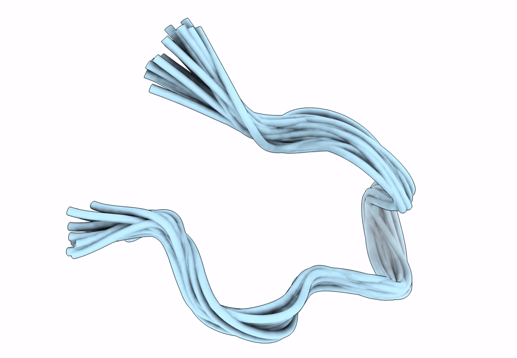 1A1P image