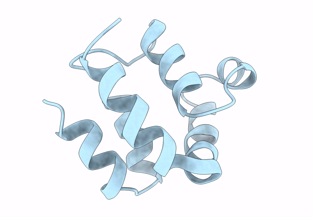 1A1Z image
