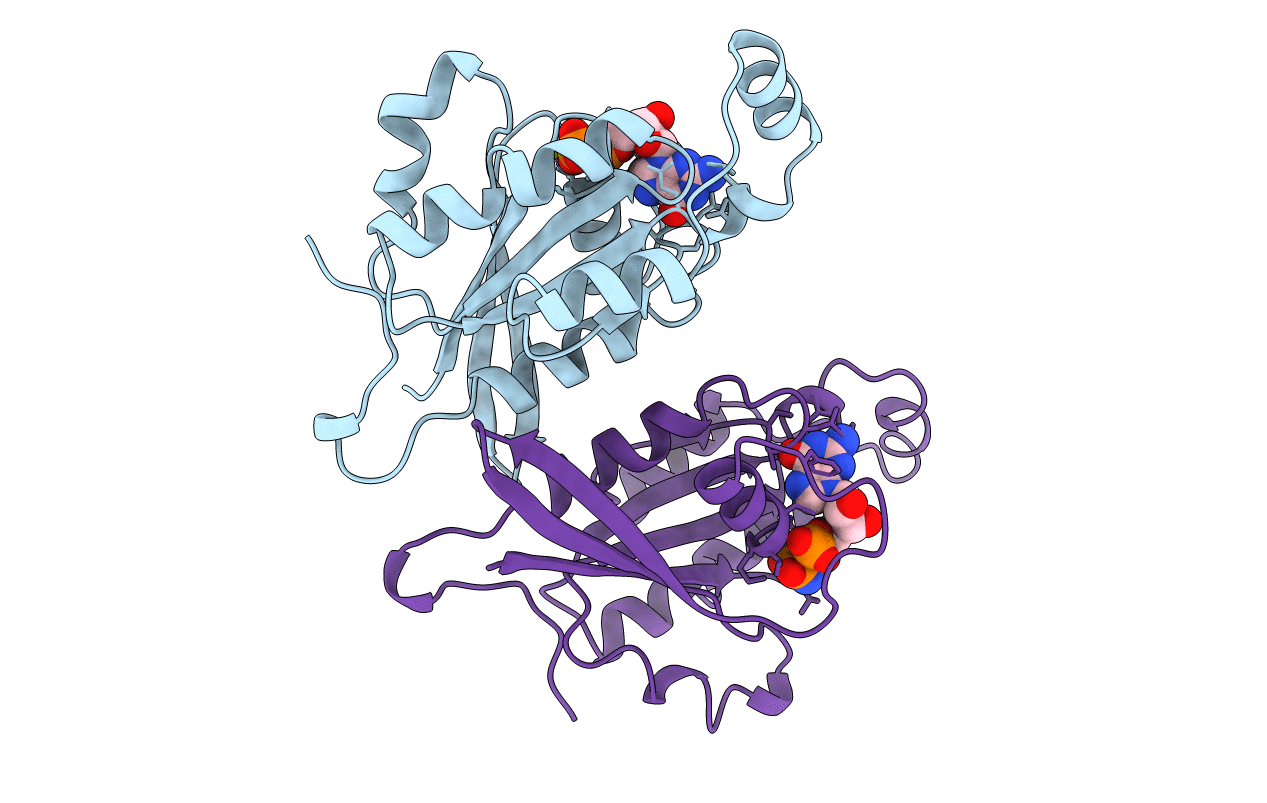 1A4R image