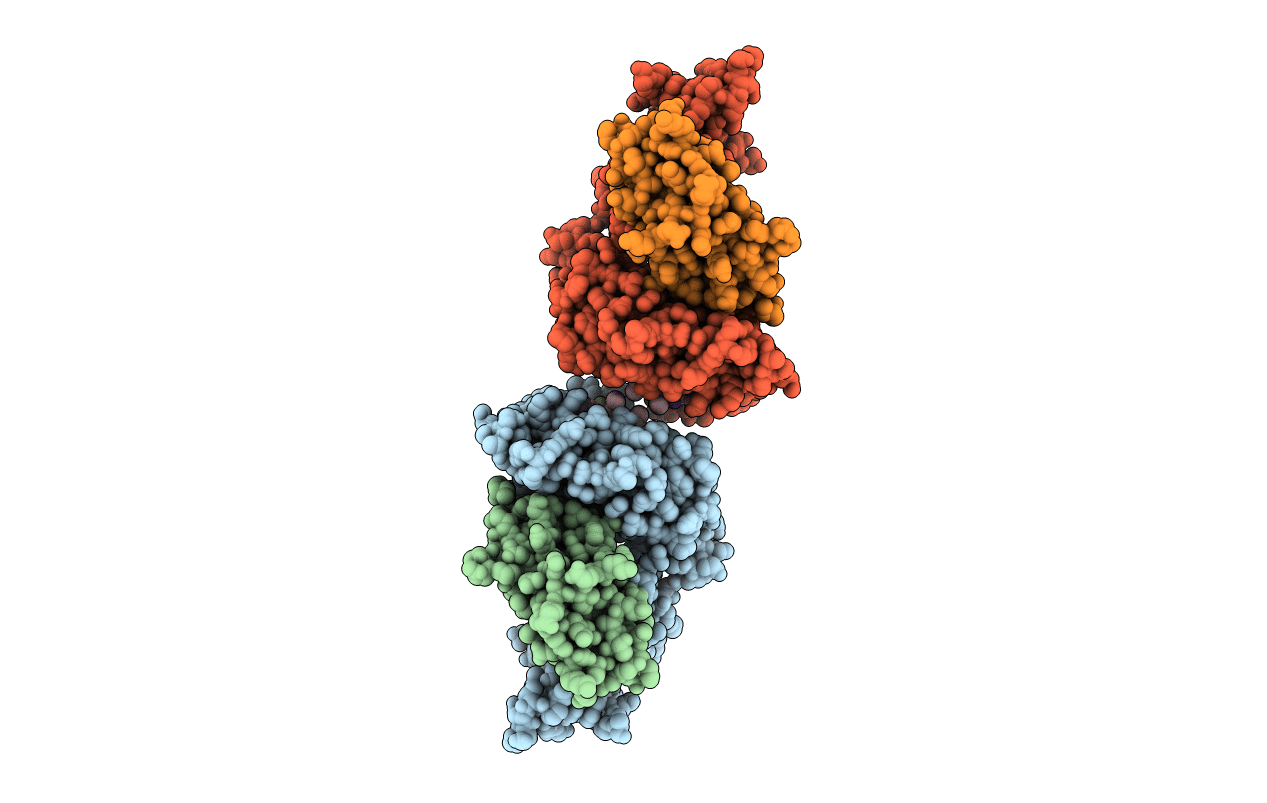 1A9B image