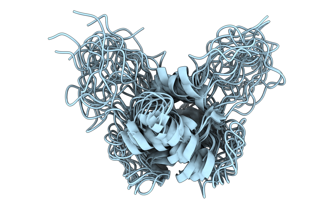 1ACI image