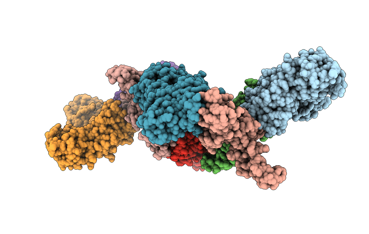 1AIP image