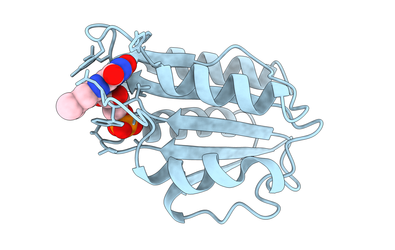 1AKT image