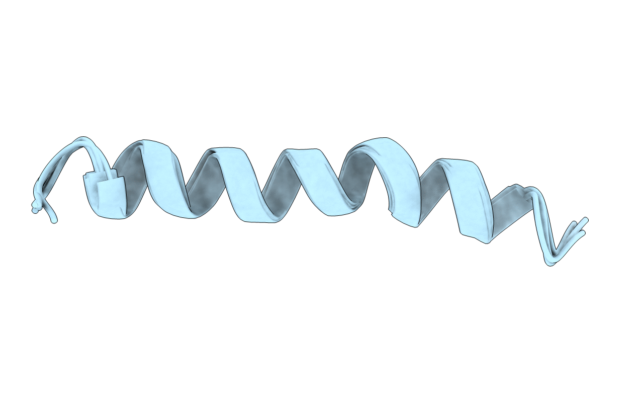 1AMC image