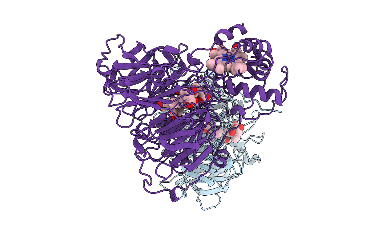 1AOM image