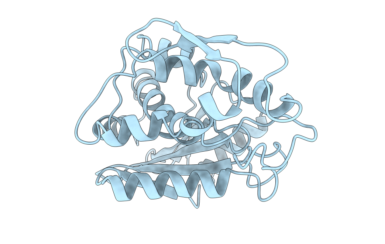 1APA image