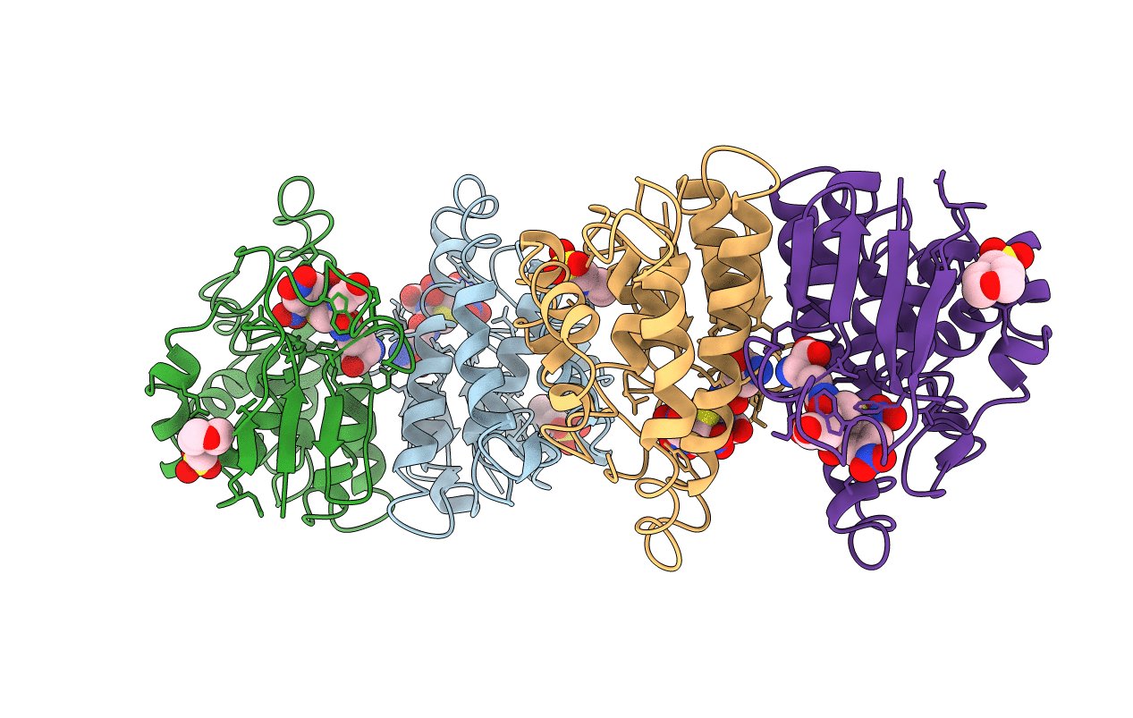 1AQX image