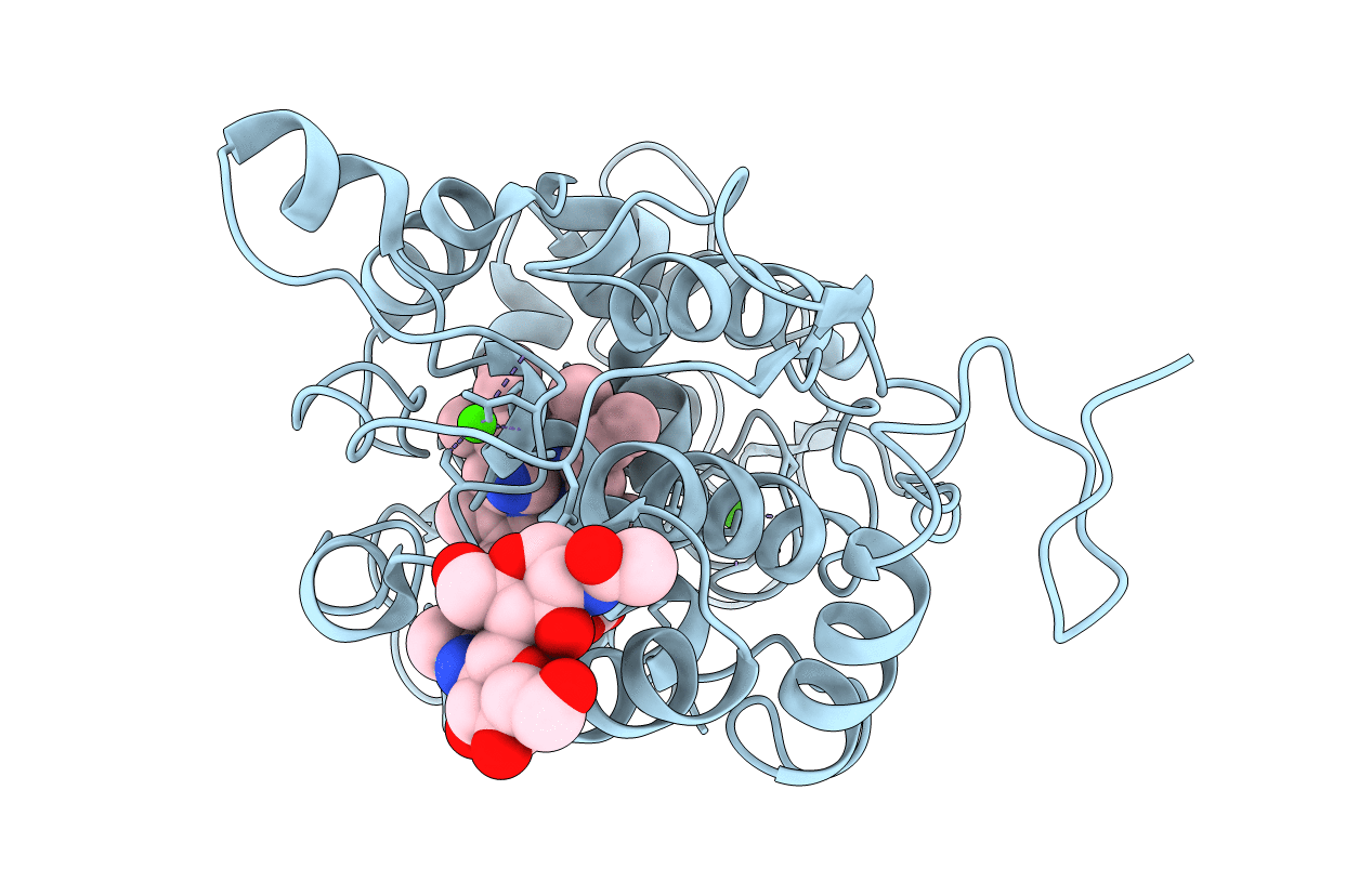 1ARV image