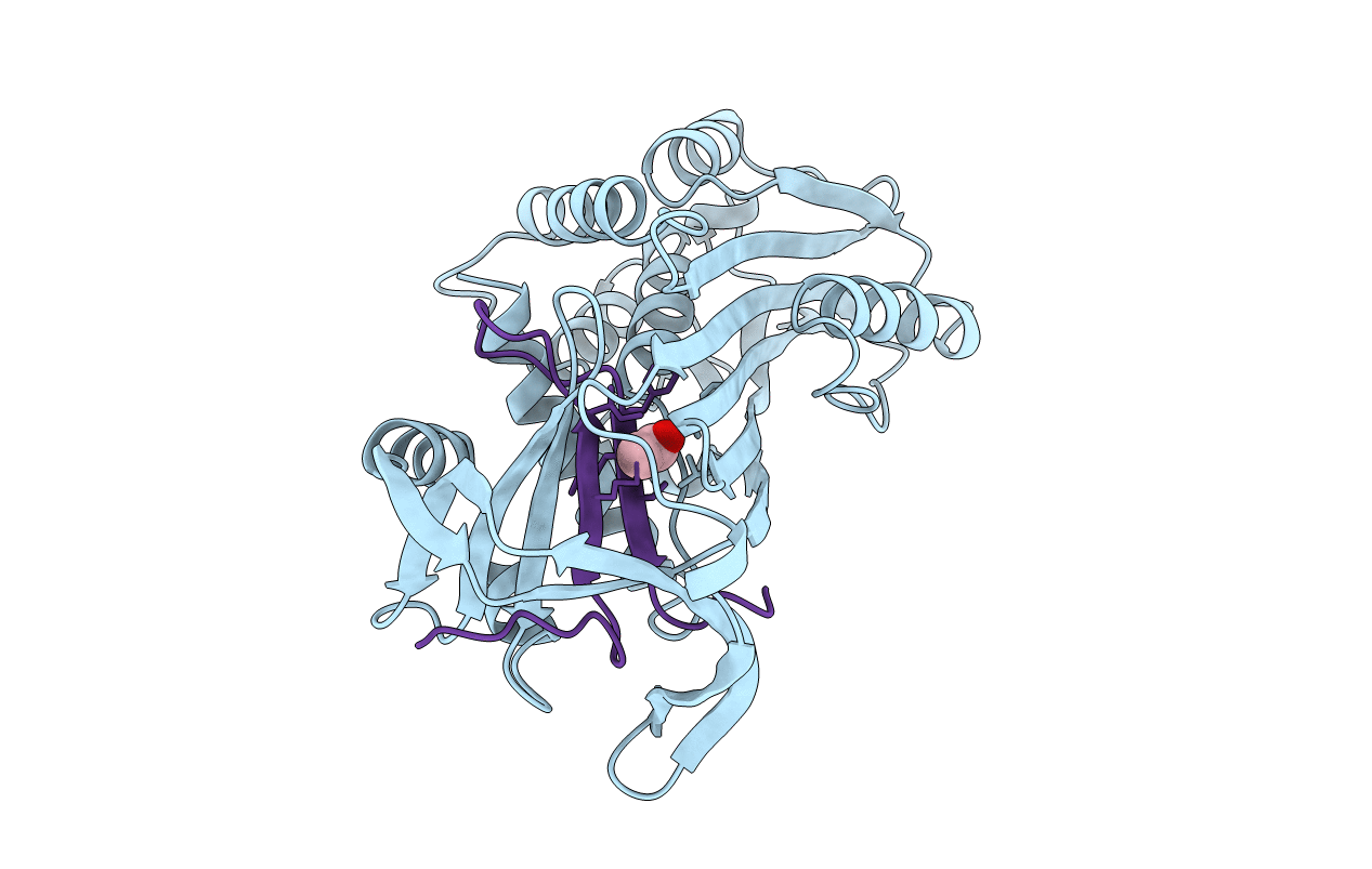 1AS4 image