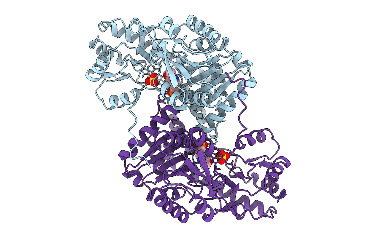 1ASN image