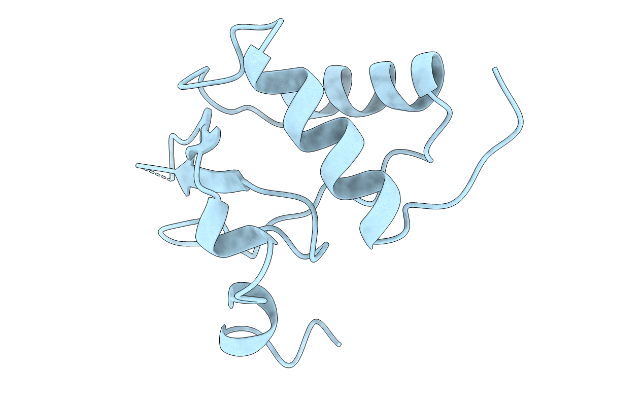 1AVV image