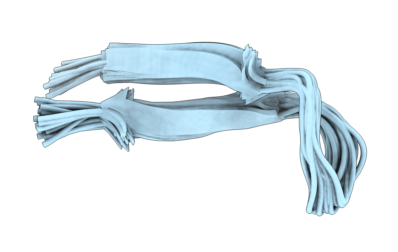 1B03 image