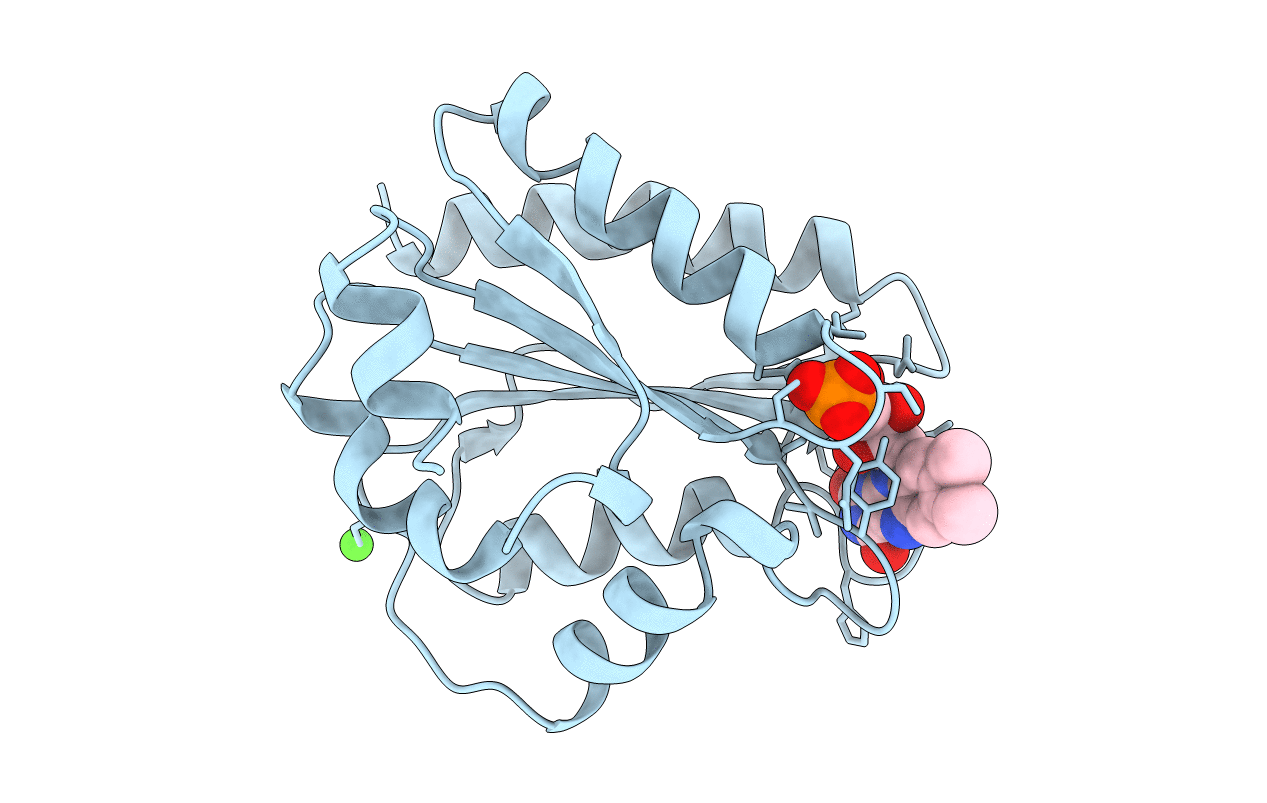 1B1C image