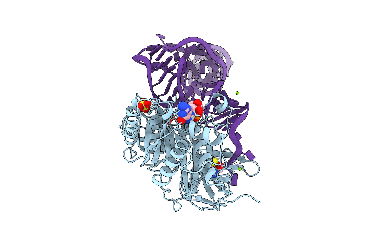 1B23 image