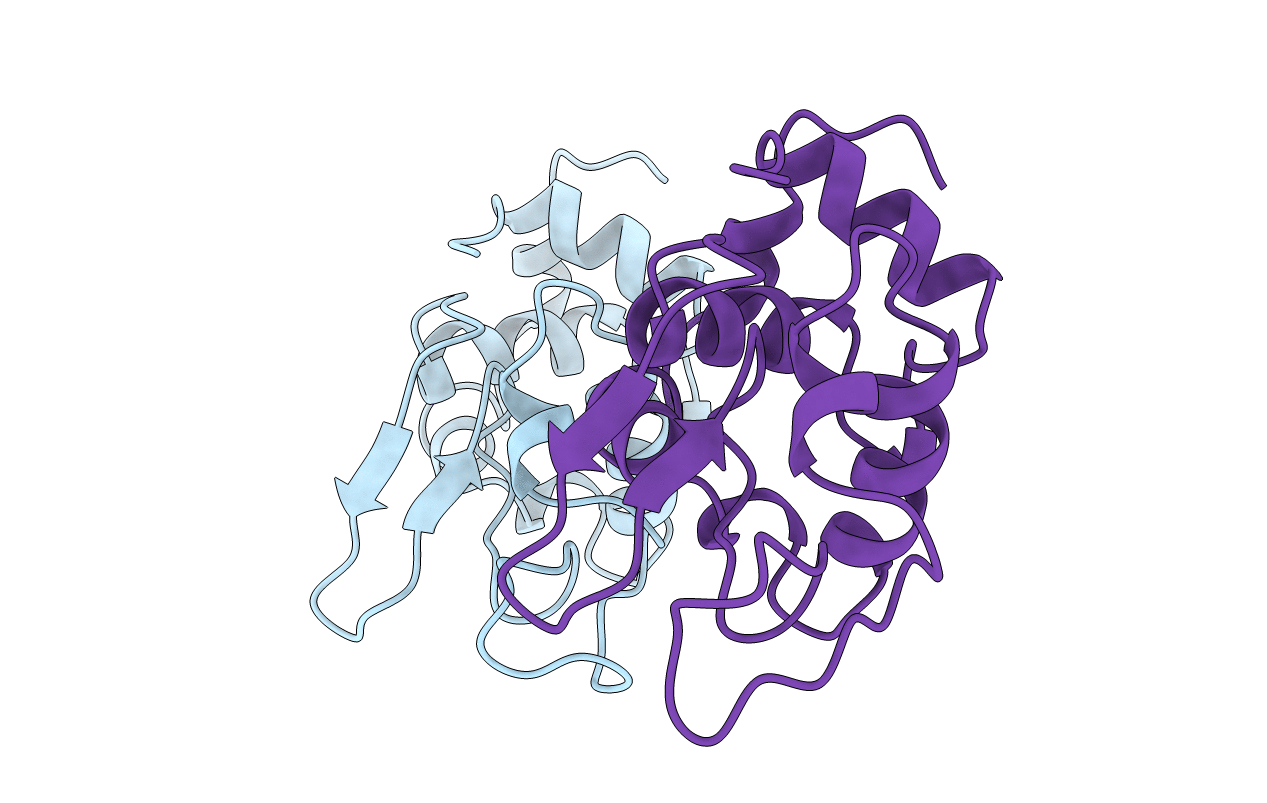 1B2K image