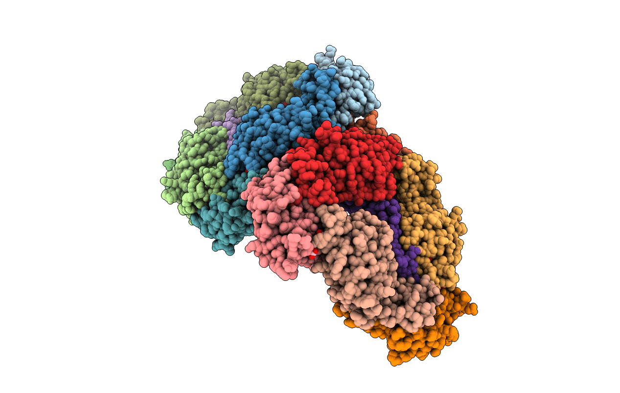 1B33 image