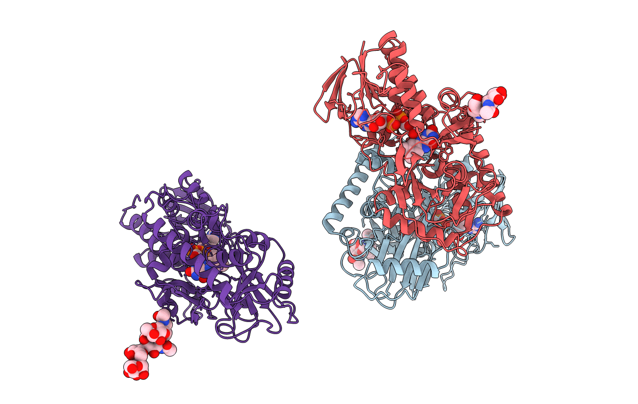1B37 image