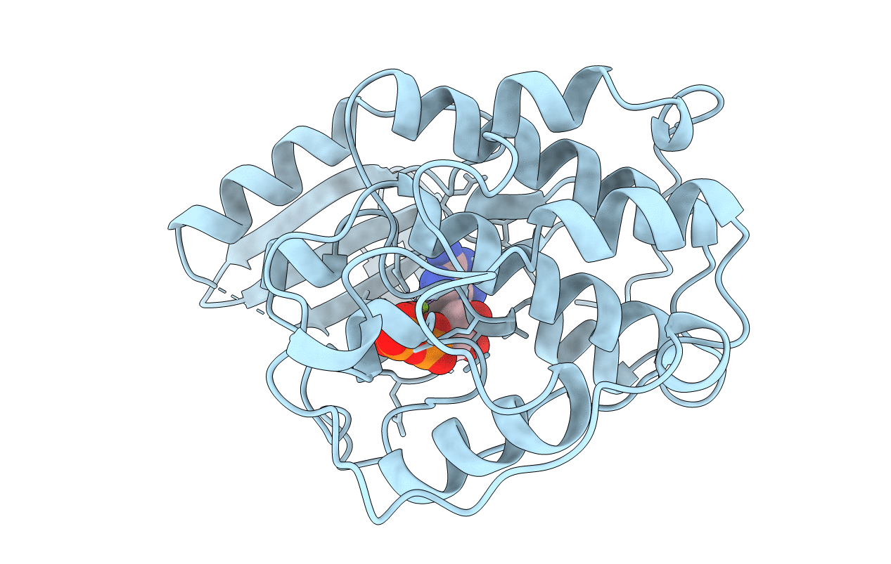 1B38 image