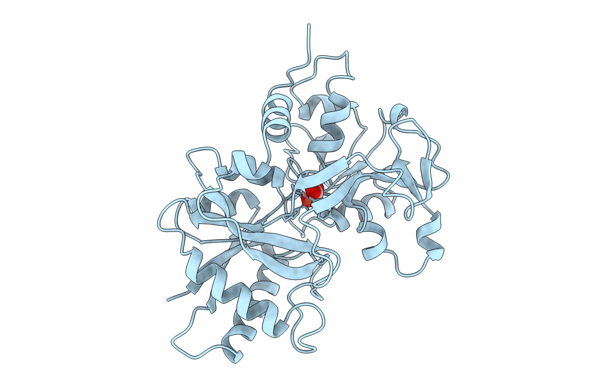 1B3E image