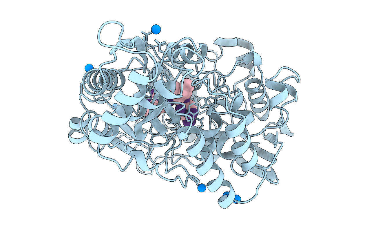1B3G image