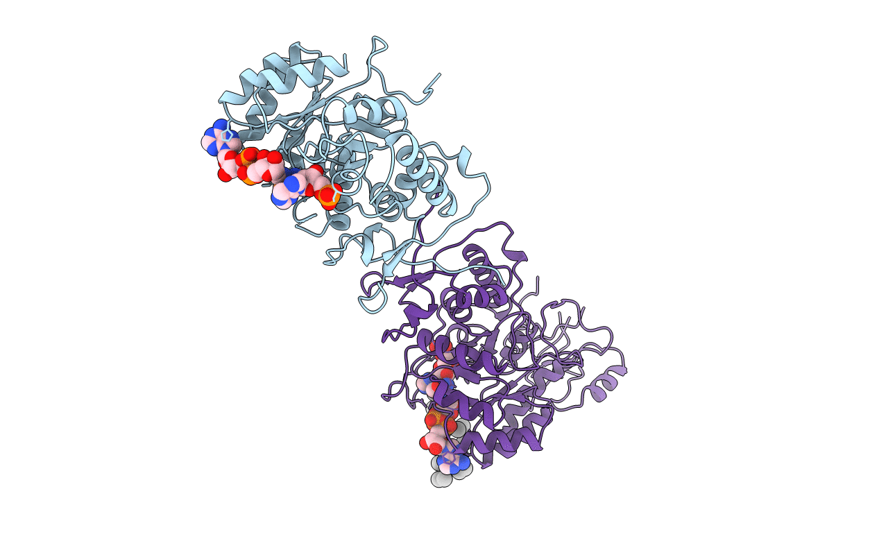1B3O image
