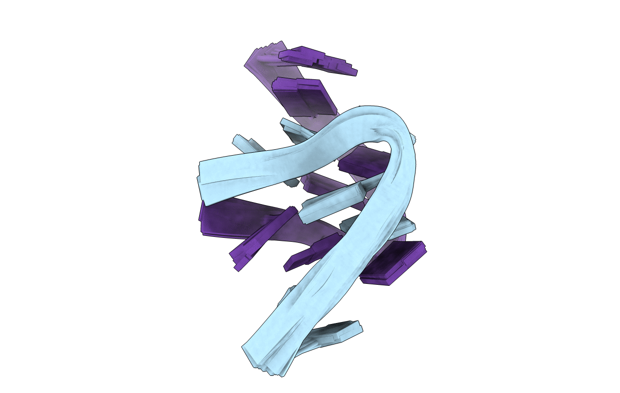 1B3P image