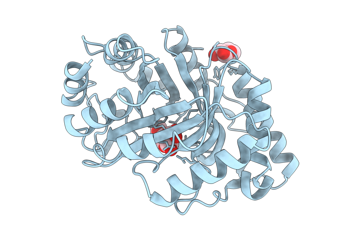 1B3W image