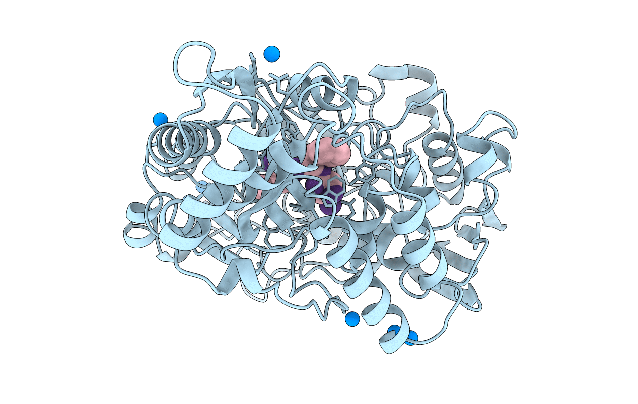 1B40 image
