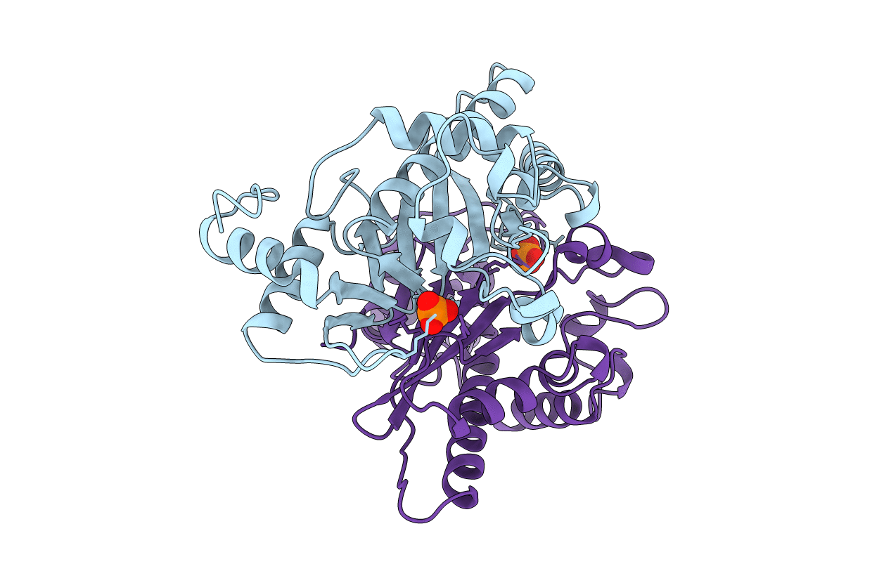 1B49 image