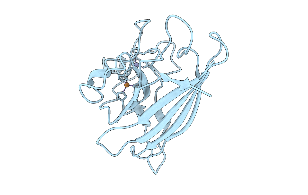 1B4L image