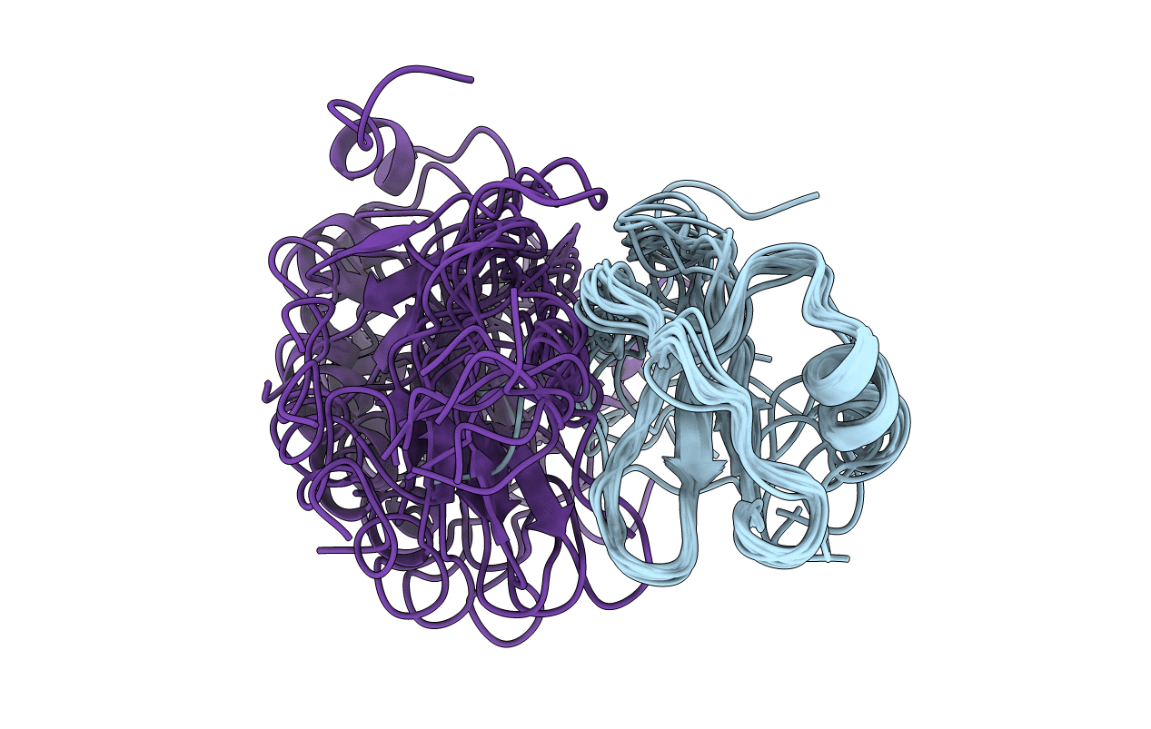 1B50 image