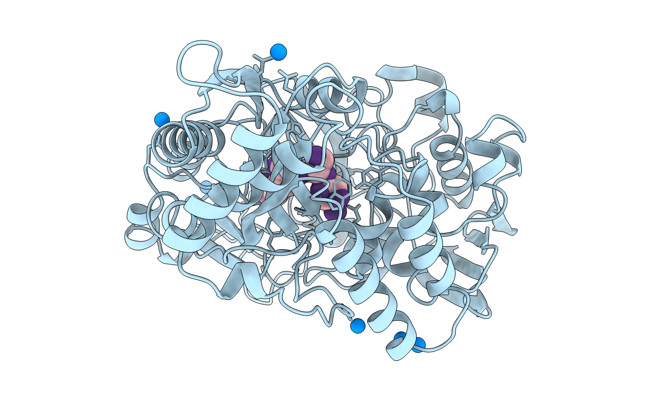 1B51 image