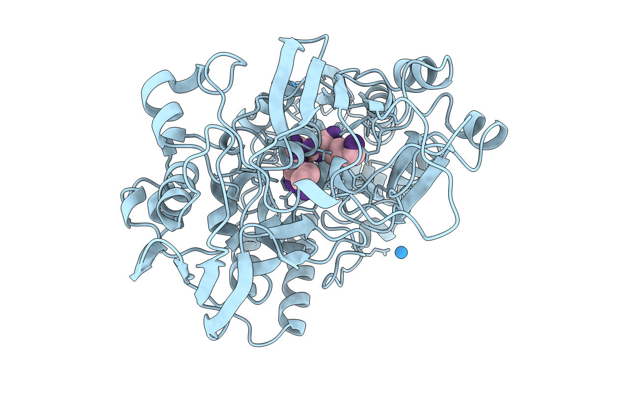 1B52 image