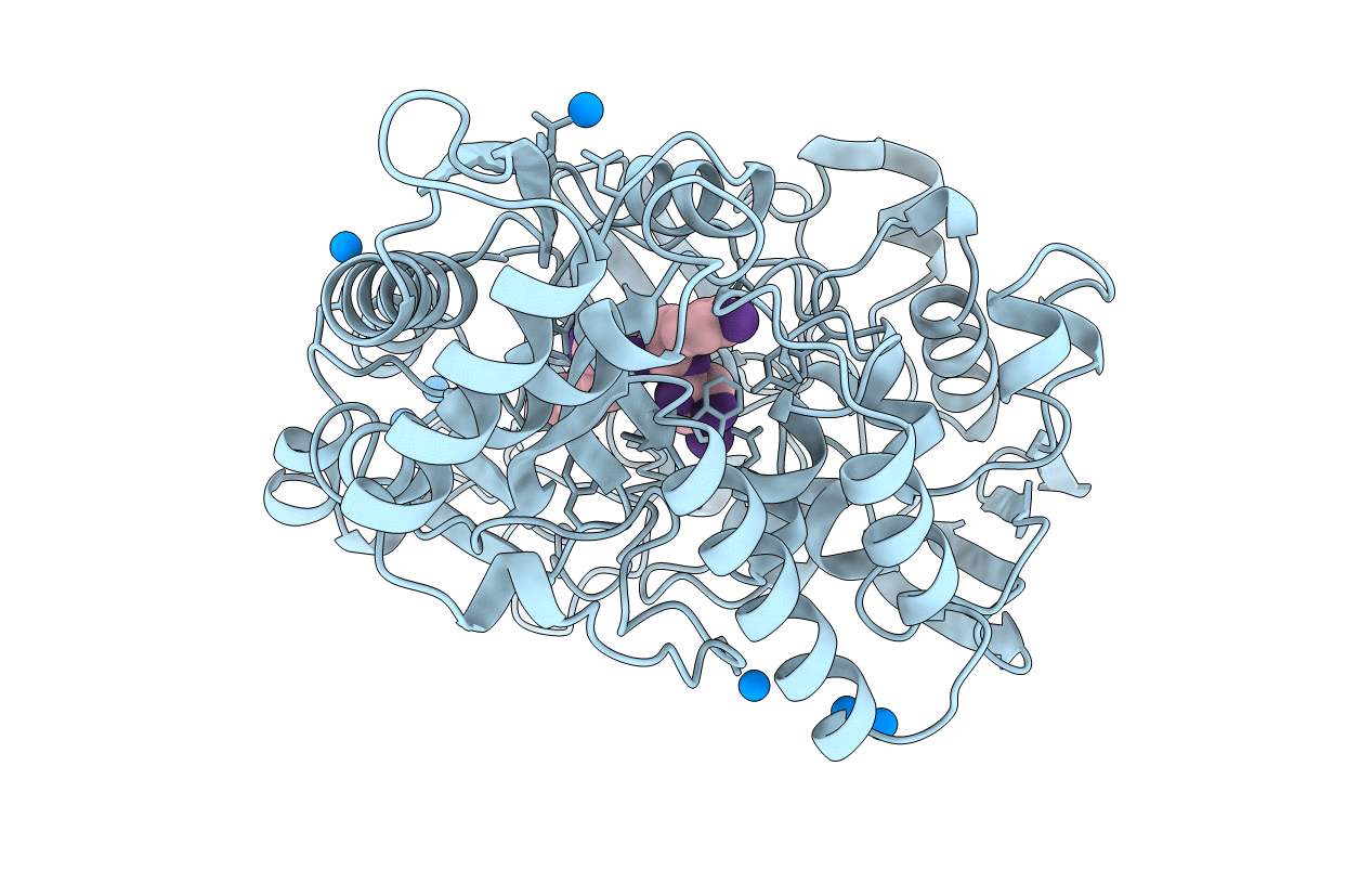 1B58 image