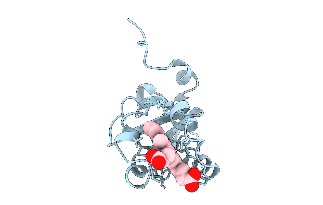 1B5A image