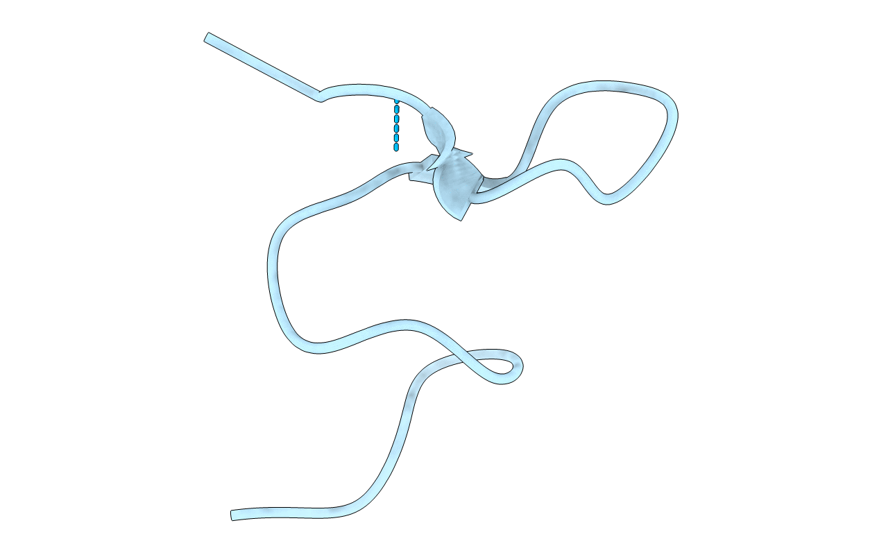1B5N image