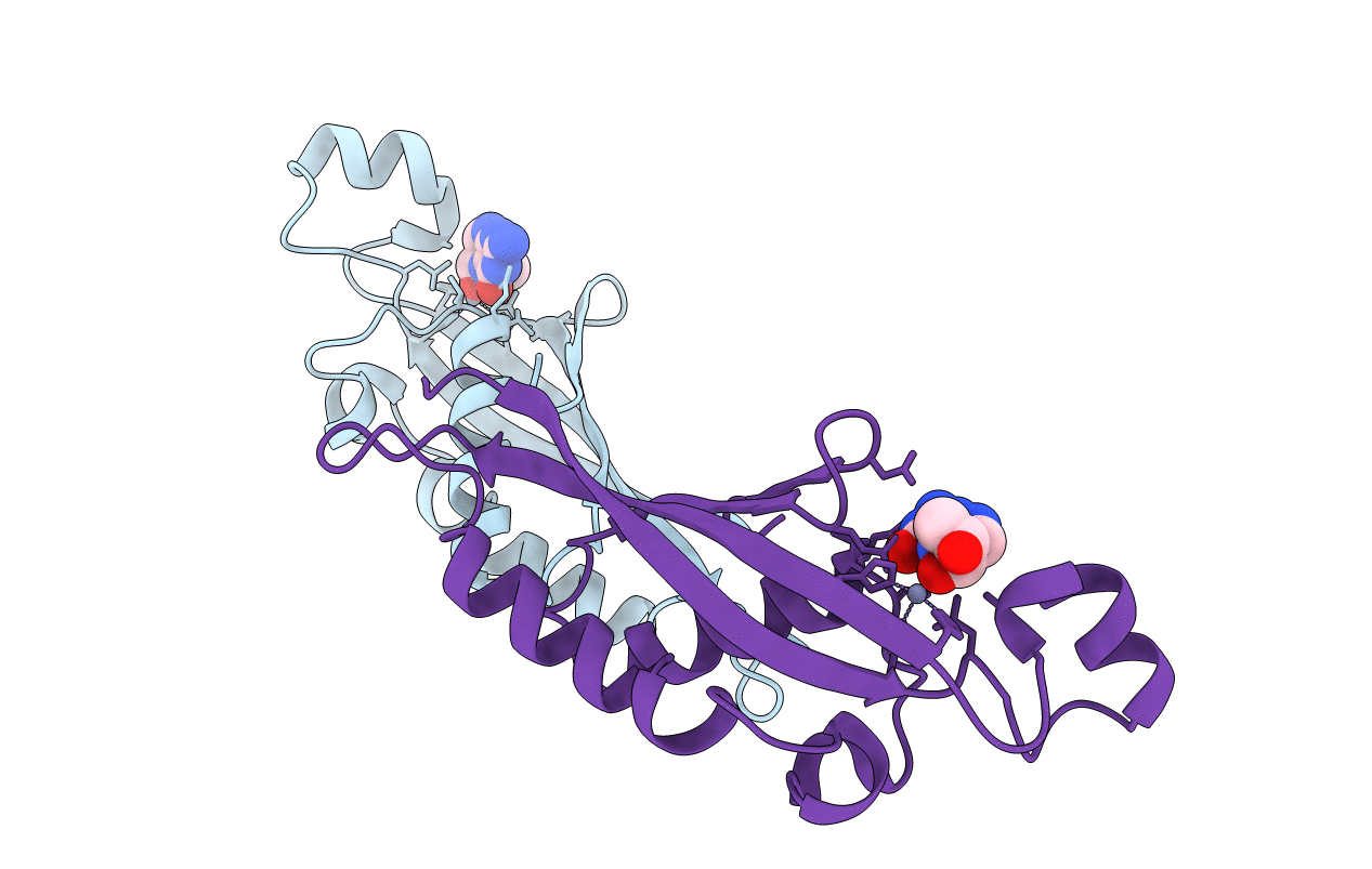 1B66 image
