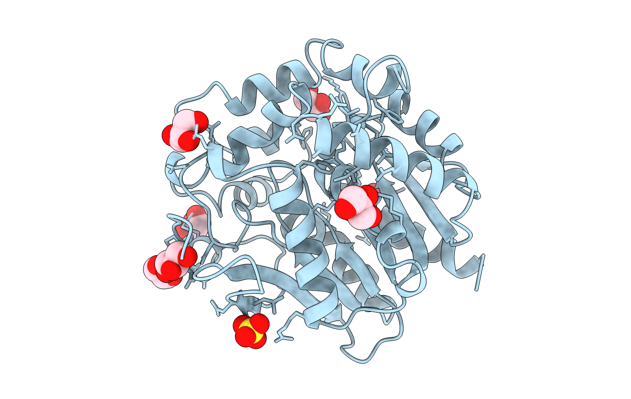 1B6G image