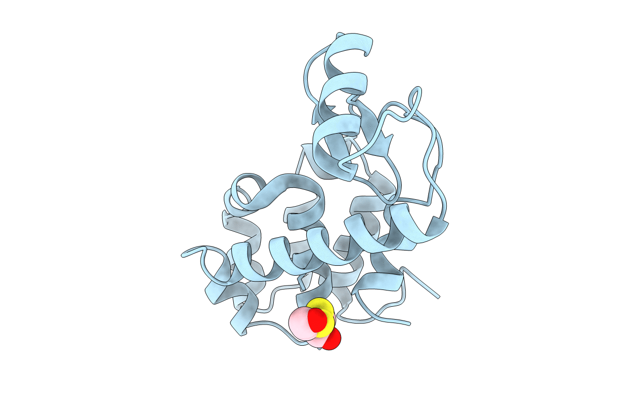 1B6I image