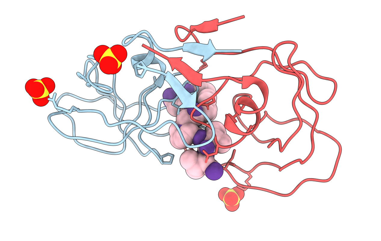 1B6J image