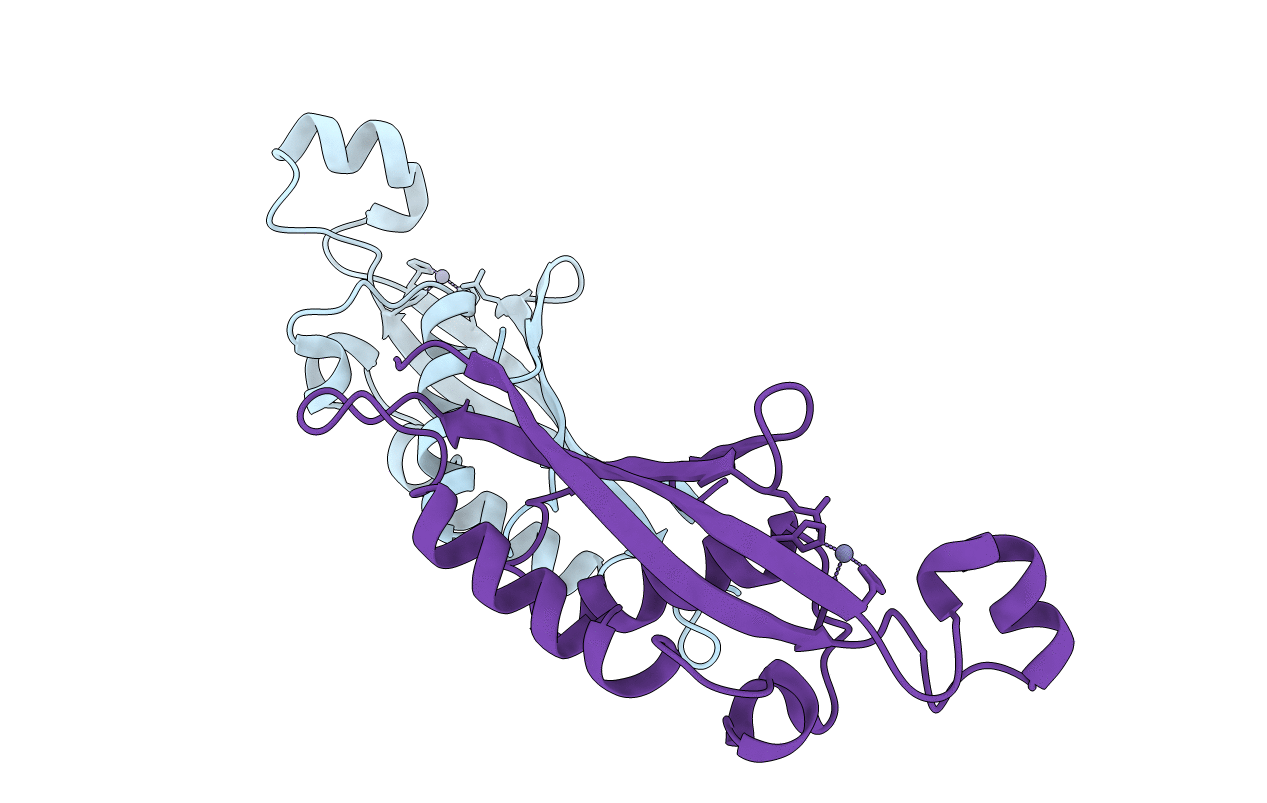 1B6Z image
