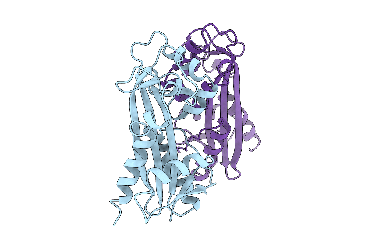 1B78 image