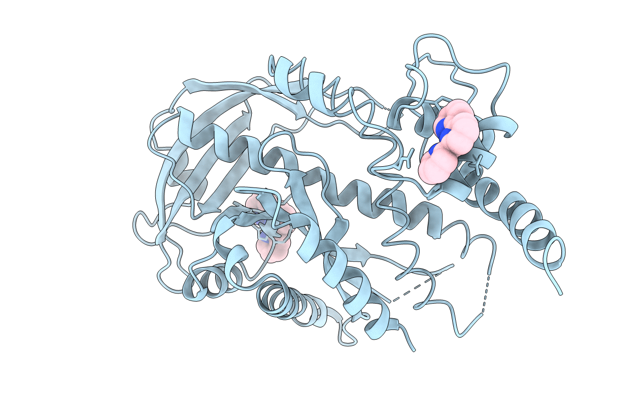 1B7E image