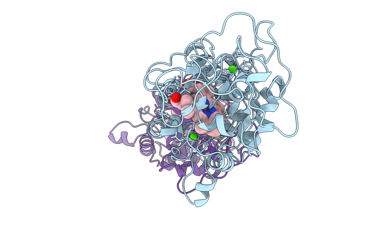 1B80 image