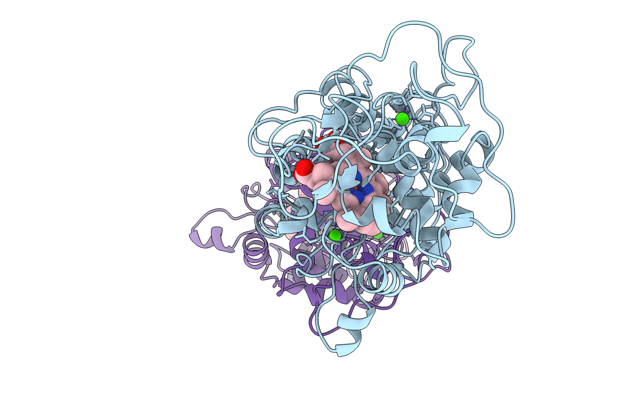 1B82 image
