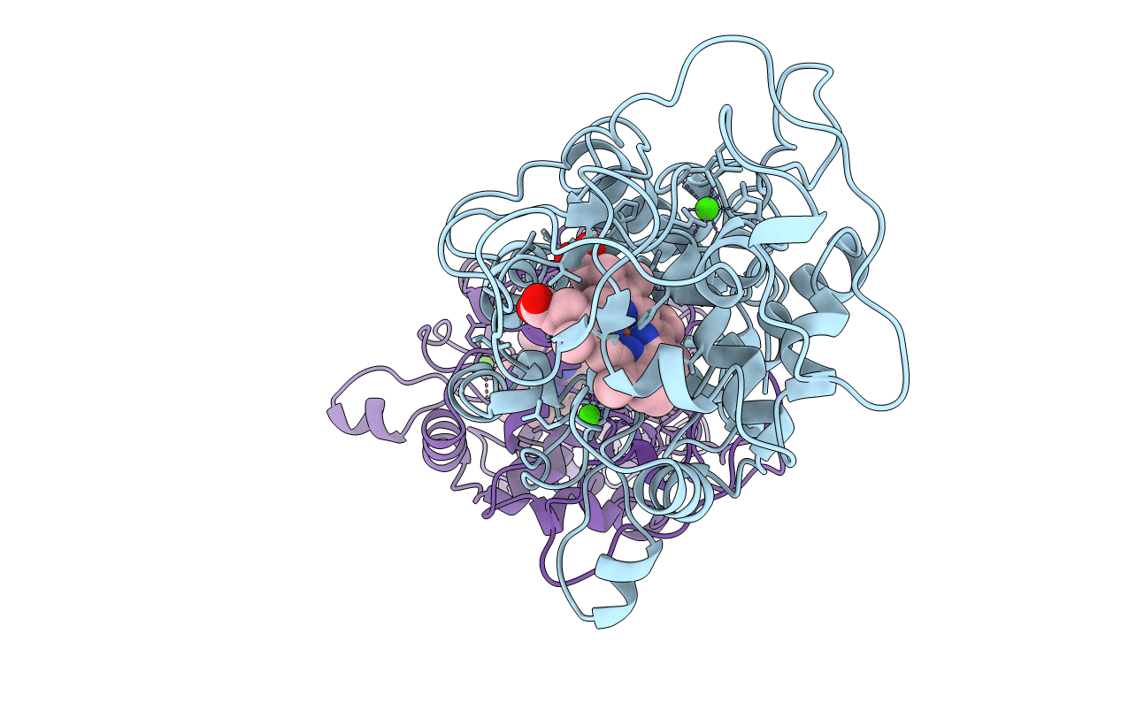 1B85 image