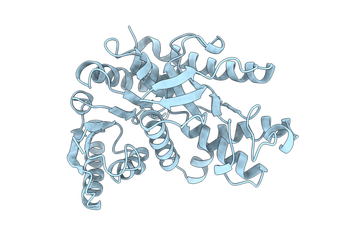 1B8P image