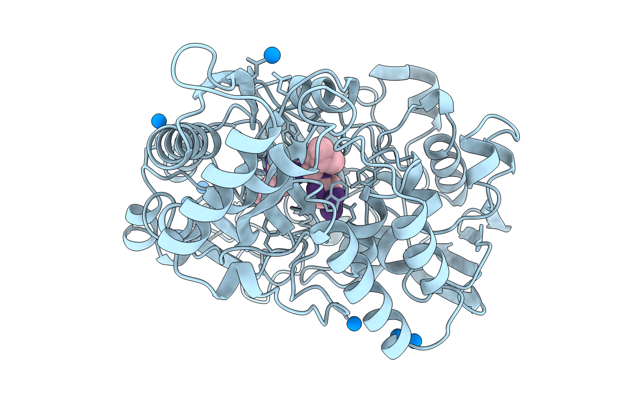 1B9J image