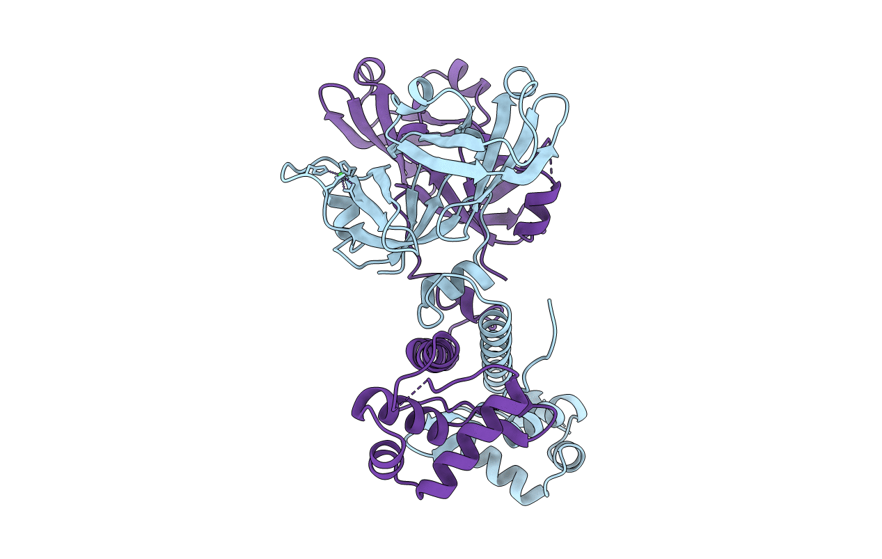 1B9N image