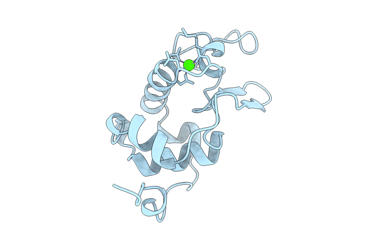 1B9O image